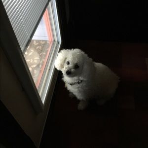 Meet your Posher, Teresa